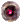 310205.png