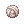 31658.png